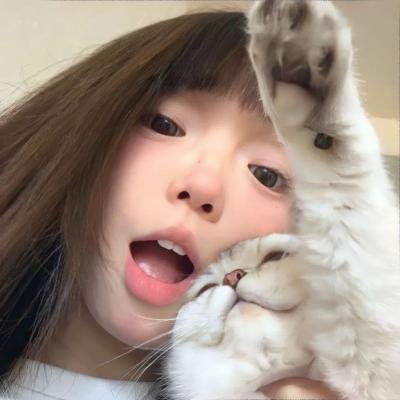 南北少林